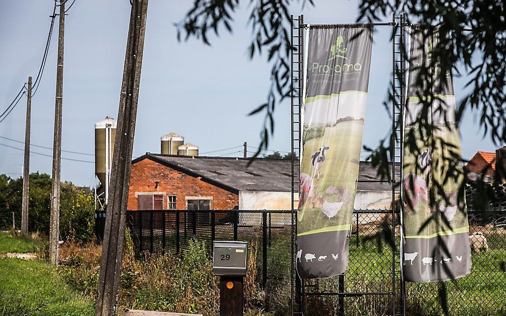 Een exterieur van het Belgische bedrijf in bestrijdingsmiddellen Poultry-Vision. Het bedrijf wordt door de Belgische voedselagentschap FAVV ervan verdacht het bloedluisbestrijdingsmiddel Dega-16 vermengd te hebben met het verboden Fipronil. beeld ANP, Rob