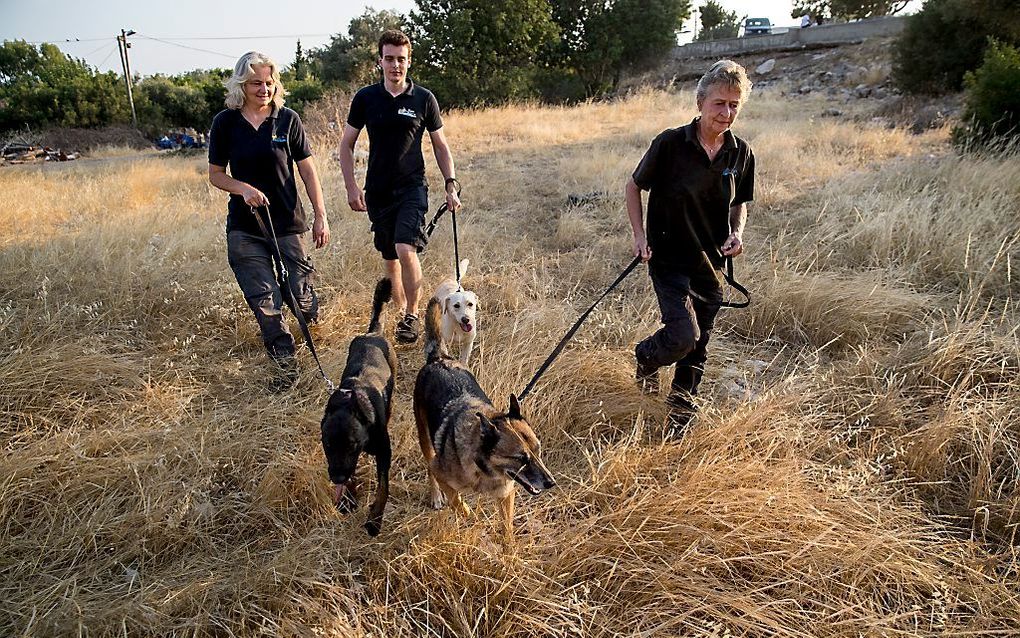 Medewerkers van team van Signi lopen met zoekhonden in de Turkse heuvels rond Silifke waar ze zullen gaan helpen met zoeken naar de vermiste Joey Hofmann uit Haaksbergen. Het team en hun viervoeters zijn gespecialiseerd in het zoeken naar verdronken perso