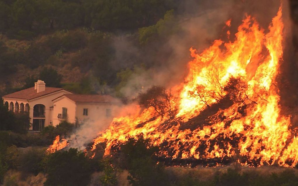 beeld AFP