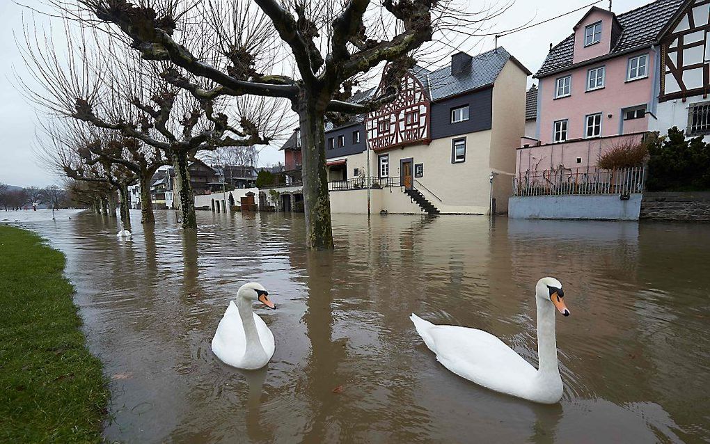 Leutesdorf, aan de Rijn. beeld AFP