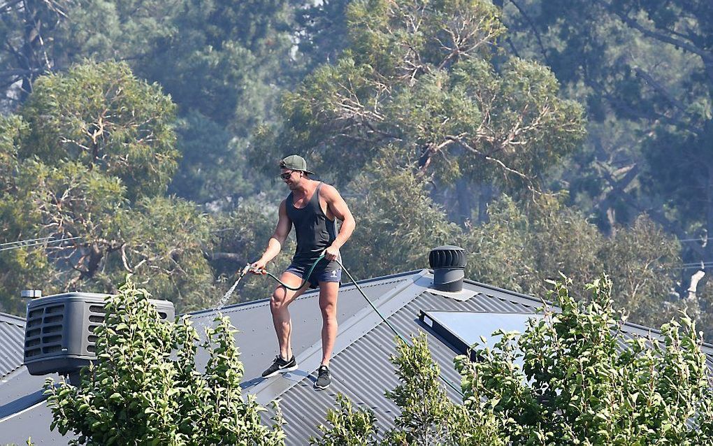 De temperaturen in Australië stegen deze week tot grote hoogte. Foto: Een man besproeit het dak van zijn woning in Melbourne. beeld EPA