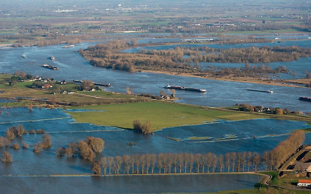 Het hoge water in de Rijn tussen Millingen en Lobith. beeld ANP