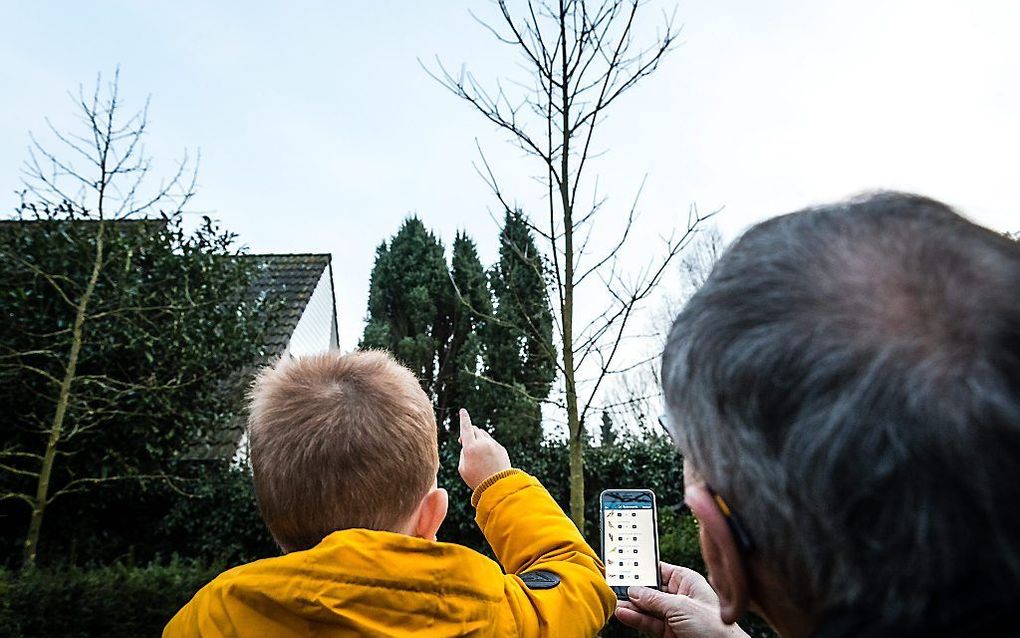 Vogels tellen met de app van de stichting Vogelbescherming Nederland. beeld ANP, Rob Engelaar