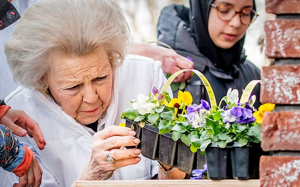 Prinses Beatrix deed vrijdag mee aan NLdoet, de vrijwilligersactie van het Oranje Fonds. beeld ANP