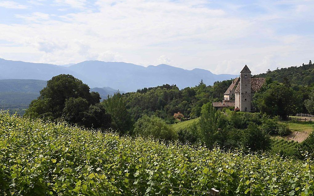 Het dorp St. Michael Eppan in Zuid-Tirol. beeld AFP