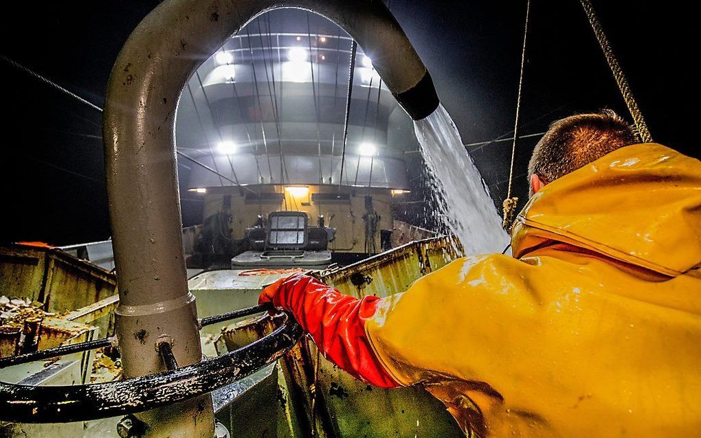 Pulsvissers aan het werk op zee. beeld ANP, Niels Wenstedt