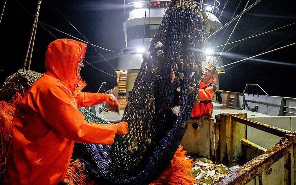 Vissers op de pulskotter TX 38 uit Texel halen de vangst binnenboord. beeld ANP, Niels Wenstedt