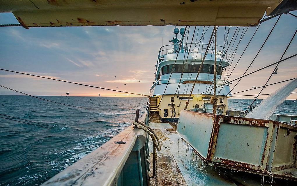 Vissers op de kotter TX 38 uit Texel aan het werk op de Noordzee. beeld ANP, Niels Wenstedt