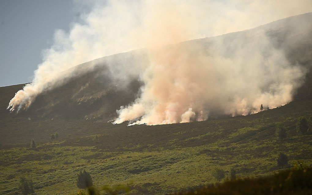 beeld AFP