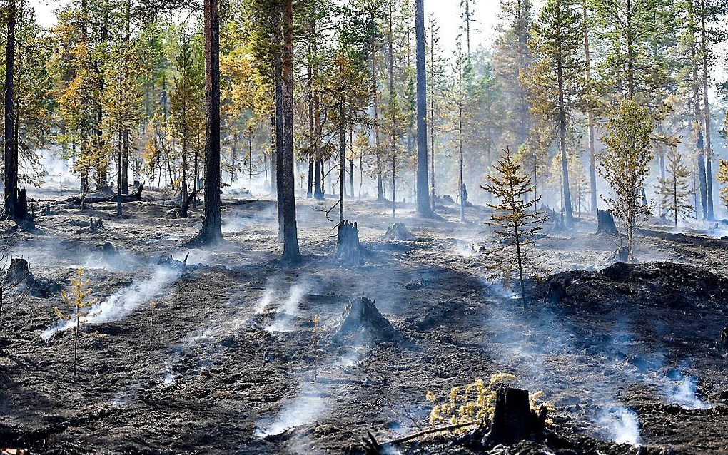 Bosbrand in Alvdalen, midden Zweden. beeld EPA