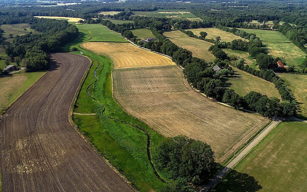 De normaal door het landschap meanderende Hagmolenbeek bij Beckum is door de extreme droogte veranderd in een smalle sloot. beeld ANP