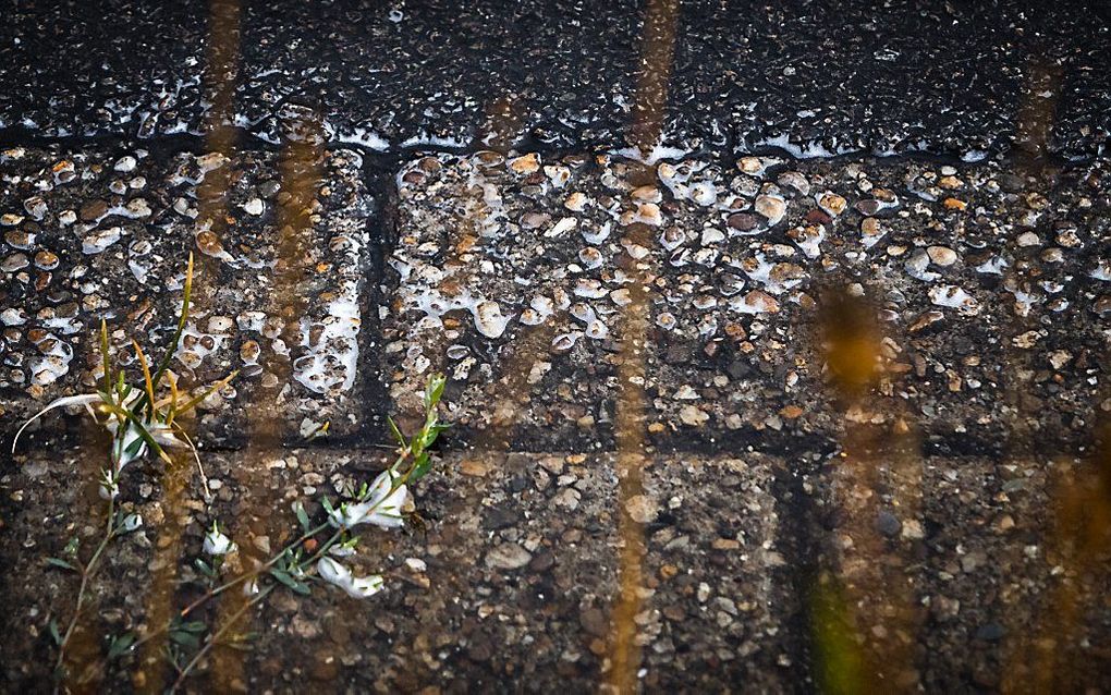 Vuilaanslag zorgt voor een glad wegdek. beeld ANP