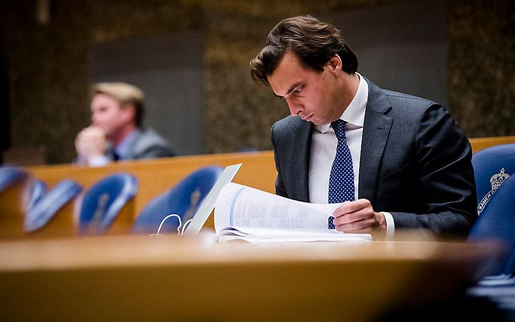 Baudet. beeld ANP