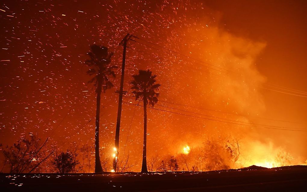 Bosbrand bij Malibu. beeld AFP