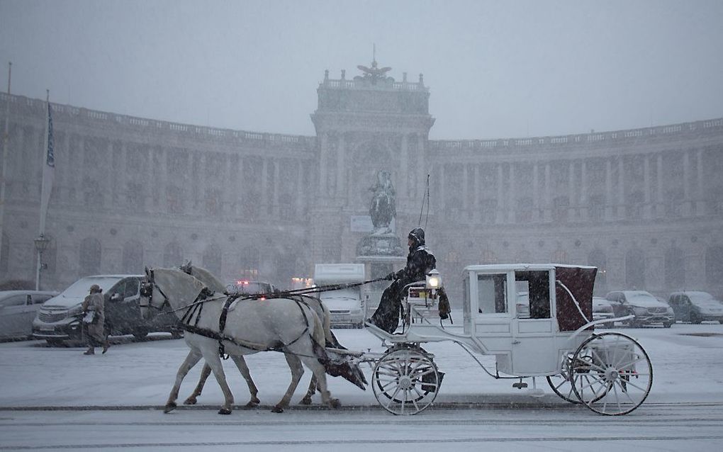 Wenen, donderdag. beeld AFP