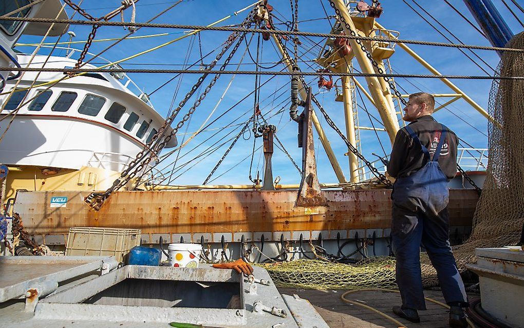 Voor tong, waar de meeste pulsvissers op vissen, is het Nederlandse quotum dit jaar 9439 ton. Foto: UK33. beeld ANP, Niels Wenstedt