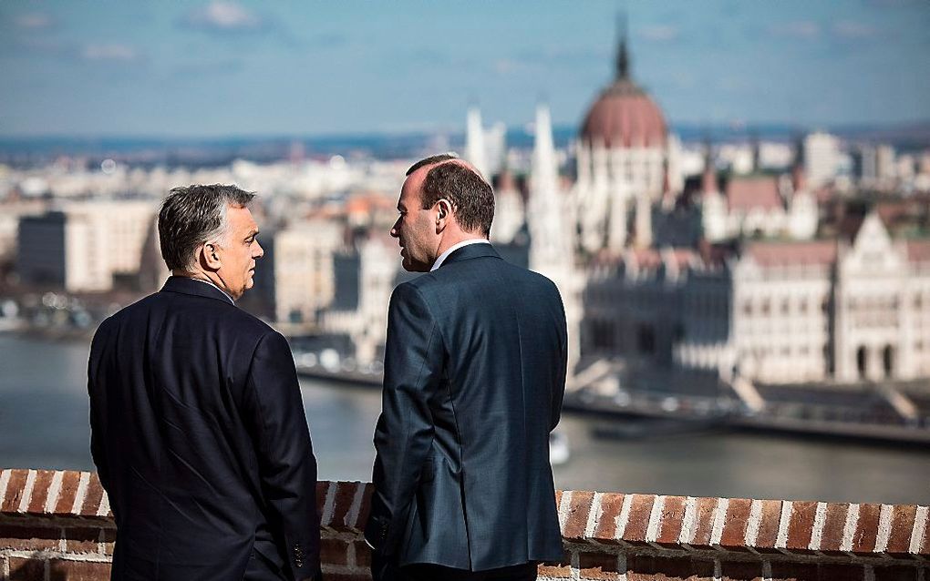 Weber (r.) op bezoek bij Orban in Boedapest. beeld EPA