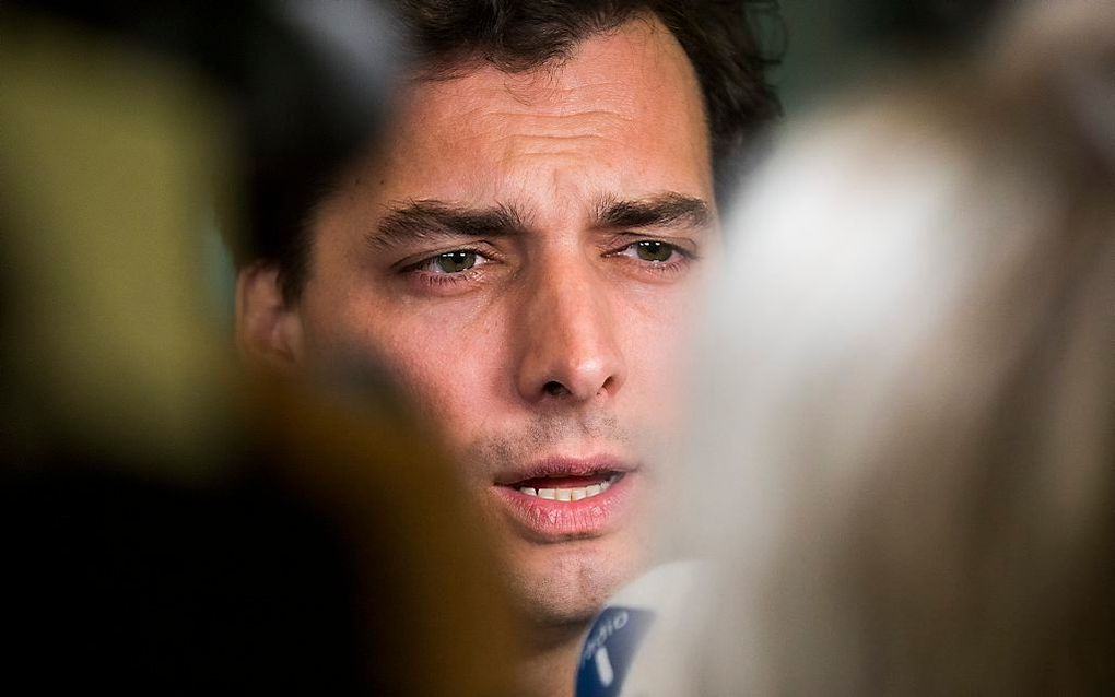 Baudet. beeld ANP