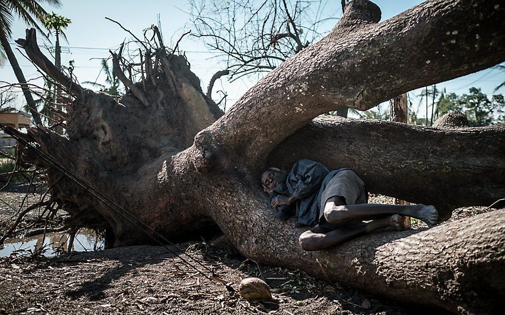 beeld AFP