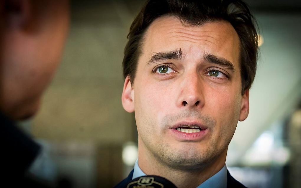 Baudet. beeld ANP