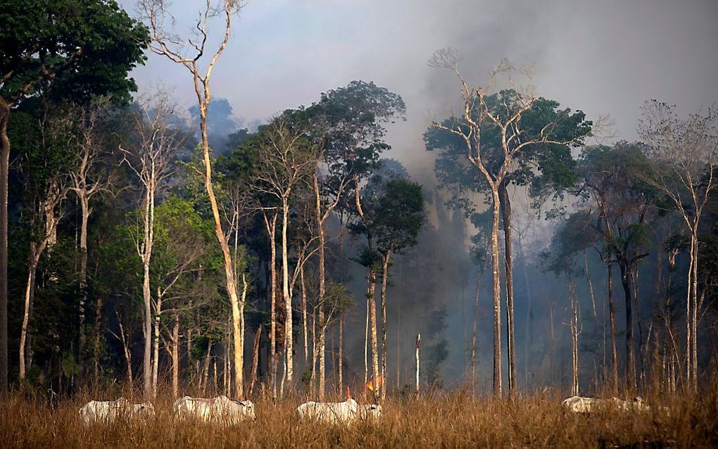 beeld AFP