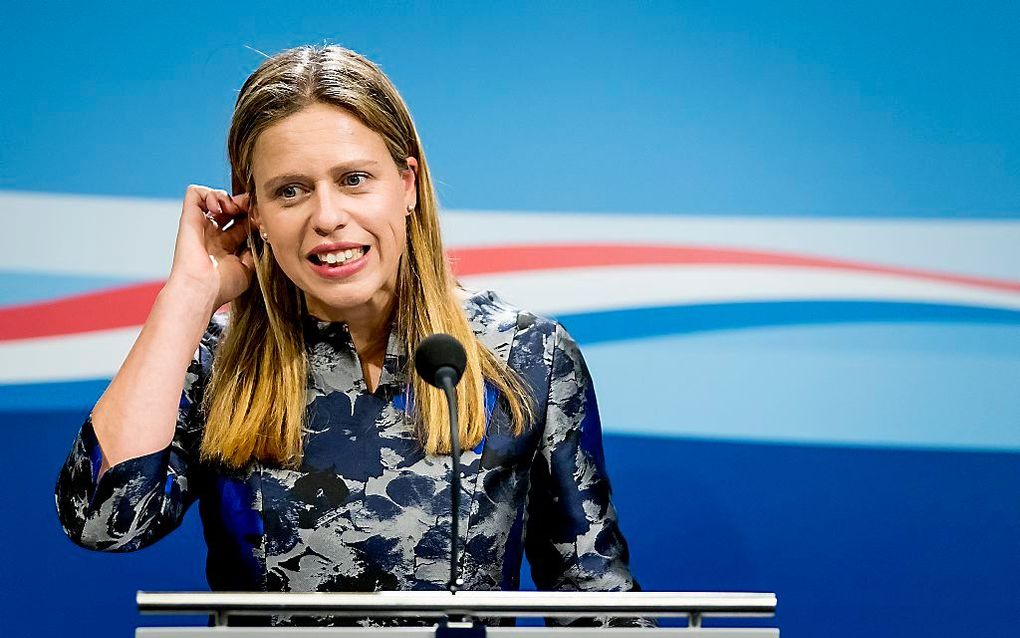 Minister Schouten vorige week op een persconferentie over de aanpak van het stikstofprobleem. beeld ANP, Koen van Weel