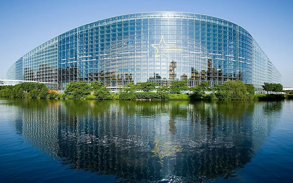 Het Europees Parlement in Straatsburg. beeld ANP