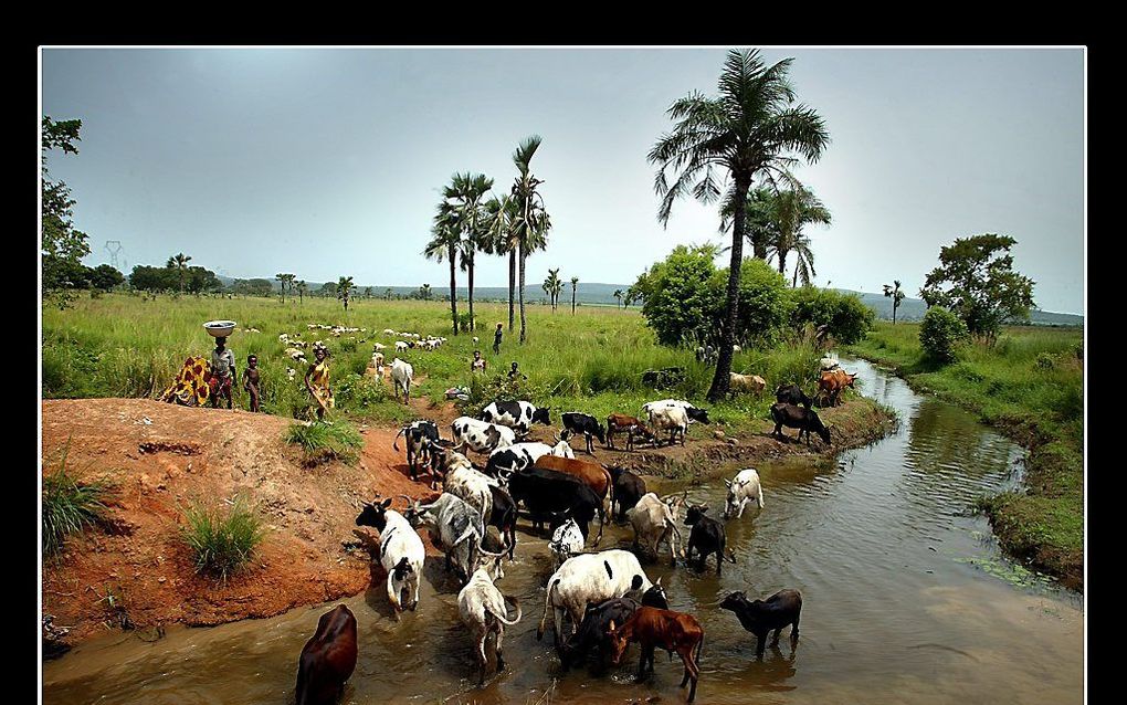 Burkina Faso (archieffoto). beeld RD, Sjaak Verboom