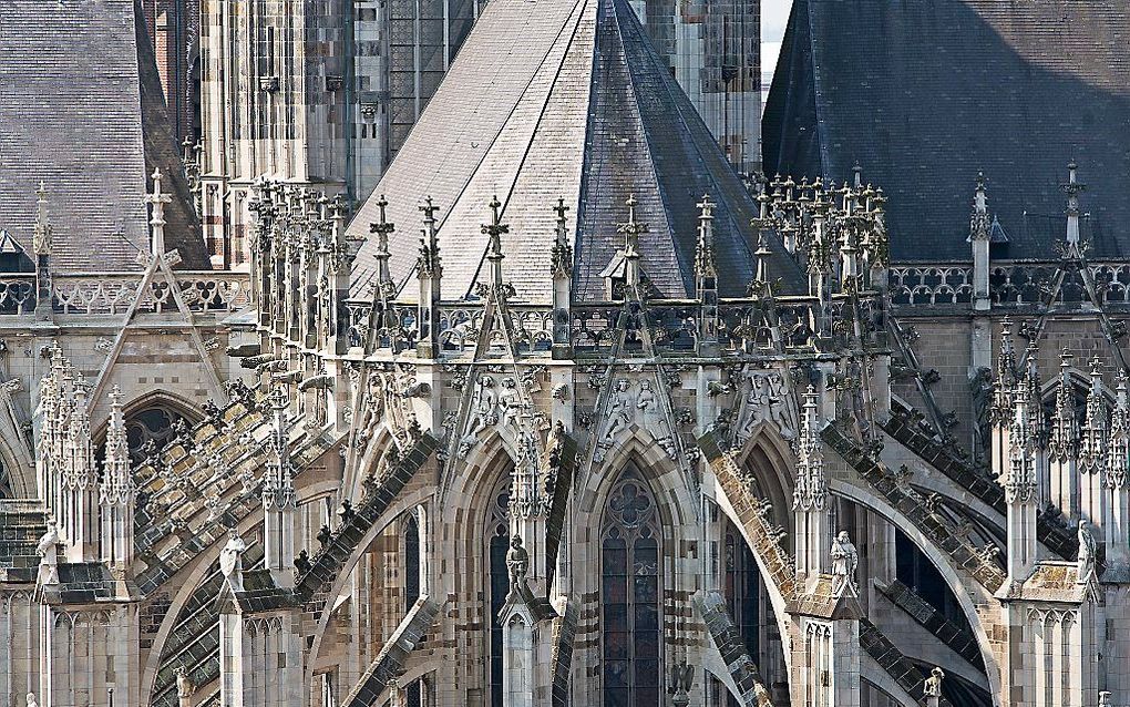 Sint-Janskathedraal Den Bosch. beeld RD, Henk Visscher