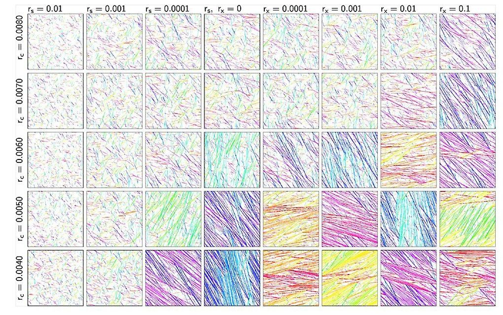 Snapshots van computersimulaties illustreren de invloed van de verschillende manieren waarop katanine kan knippen op de ordening van microtubuli. In het linkerdeel onderdrukt het steeds vaker willekeurige knippen van microtubuli steeds meer de ordening. I