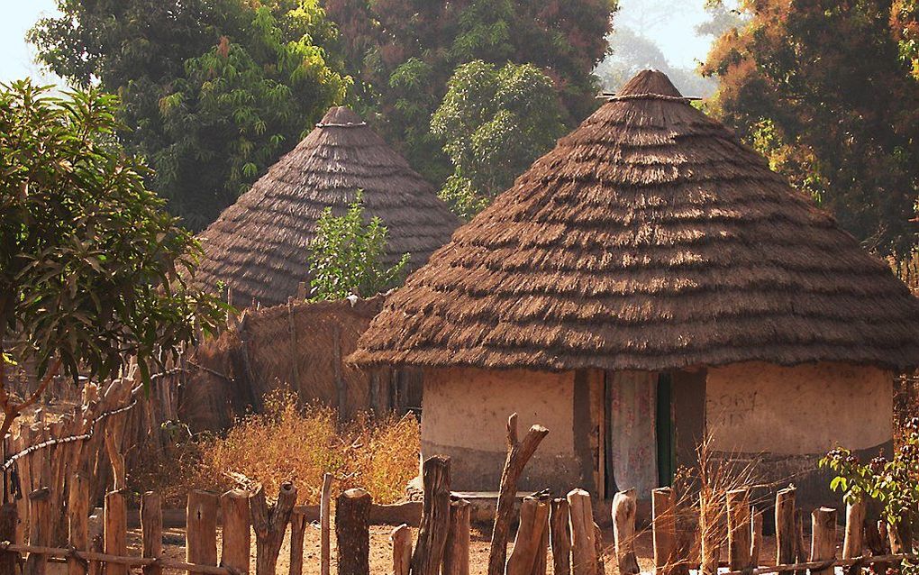 Dorpje in Guinee. beeld Fotolia