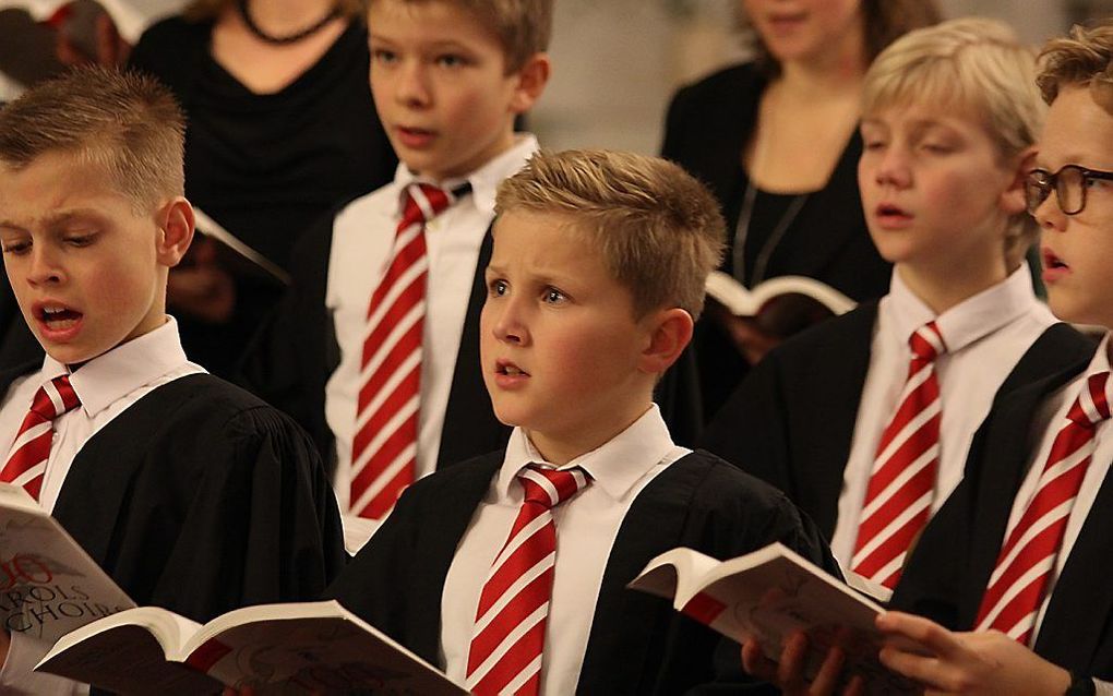 Het Gorcum Boys Choir. beeld www.gorcumboyschoir.nl