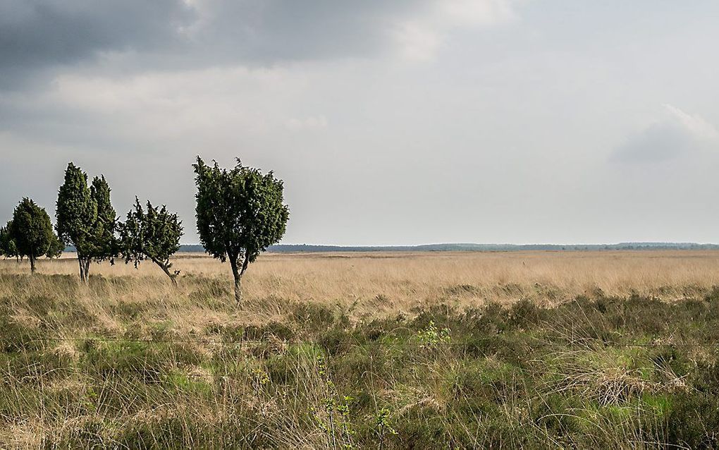 ”Hei-sessies en workshops mindfulness zijn bevorderlijk voor het wij-gevoel van de onderneming." beeld Wikimedia