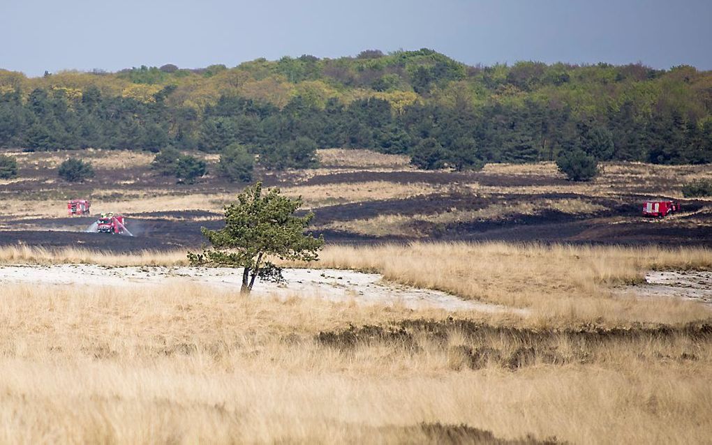 De Duitse munitie in de bossen van Hoog Soeren bij Apeldoorn is instabiel geworden. beeld ANP, Roland Heitink