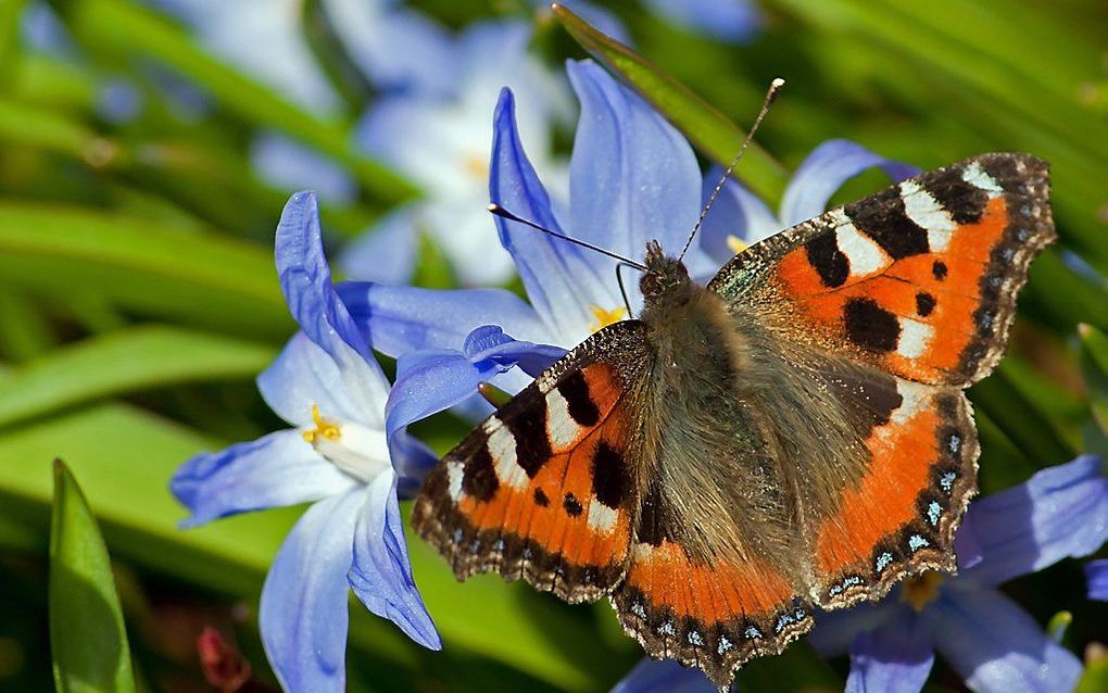 beeld Getty Images/iStockphoto