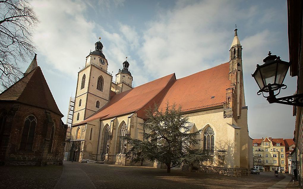 De stadtkirche in Wittenberg. beeld RD