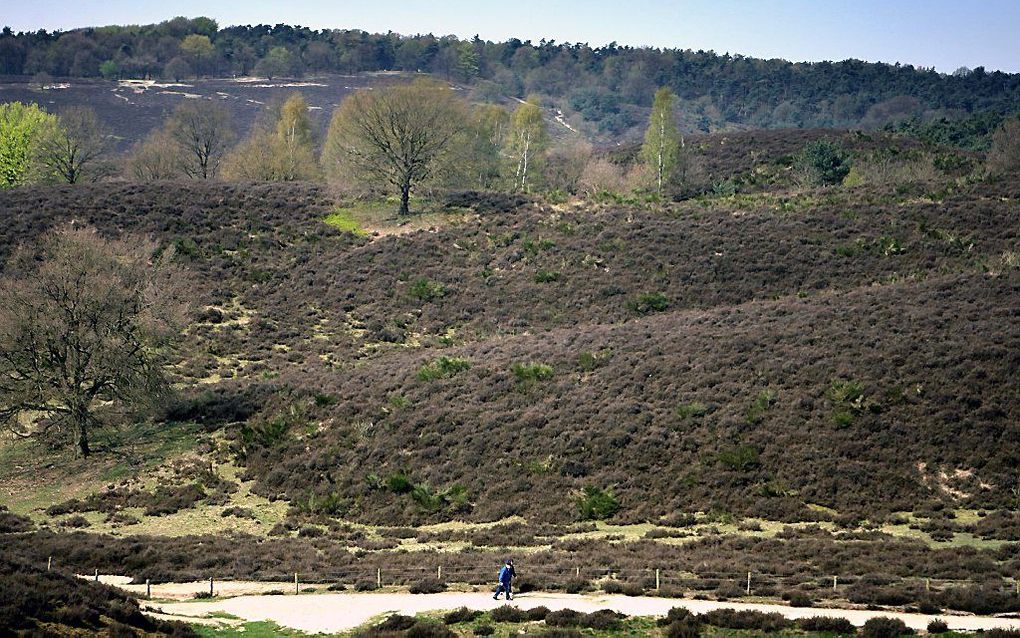 Posbank. beeld RD, Henk Visscher