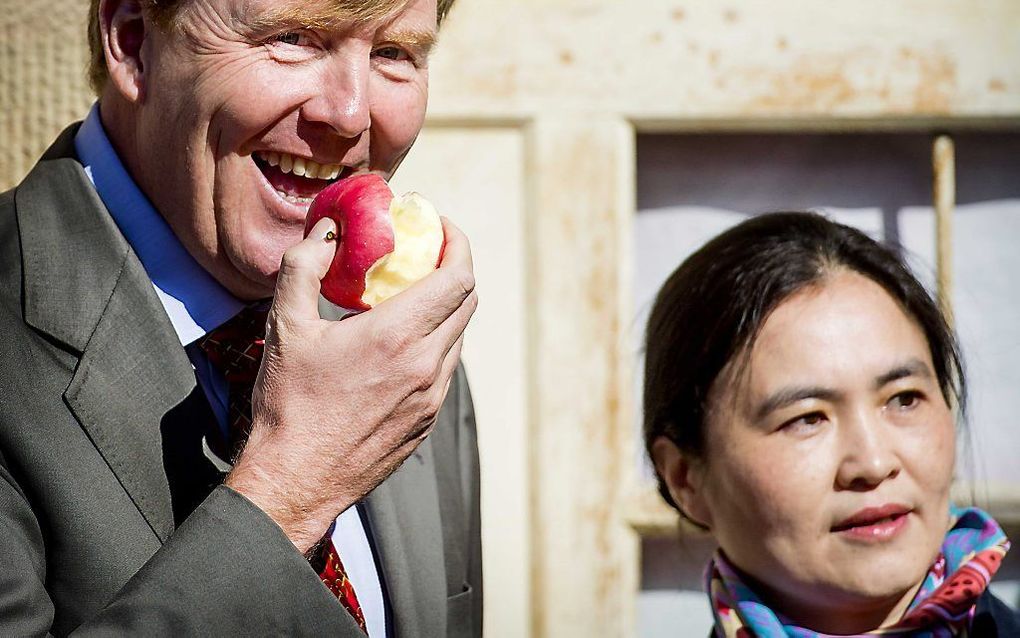 Koning Willem-Alexander bezoekt een appelteler in het dorp Yanhewanzhen tijdens de derde dag van het staatsbezoek aan China. beeld ANP