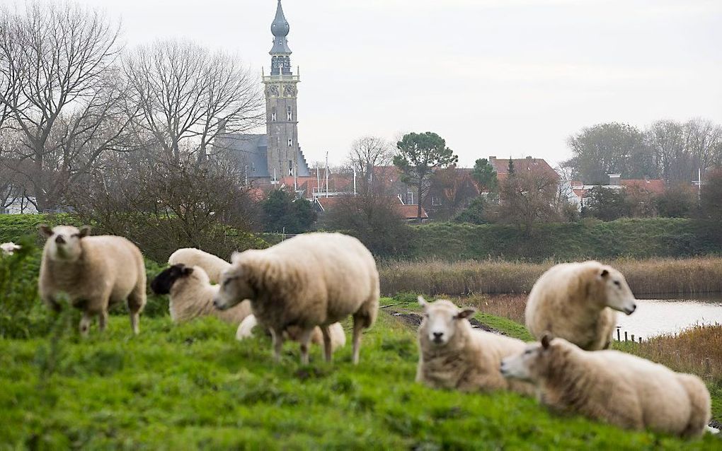 De inwoners van Drenthe, Friesland en Zeeland zijn het meest tevreden over hun leven. beeld ANP