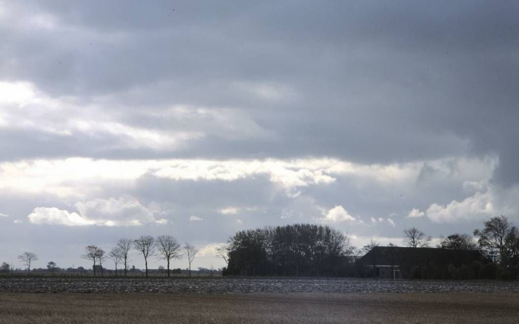 Het sprekendst zijn de gedichten van Jane Leusink die dicht bij het dagelijkse blijven en stevig  in de Groningse klei wortelen. Wanneer noordelijke wind rond de wierden waait, leegte leidt tot uitzicht en stilte wordt tot inkeer.  Foto ANP