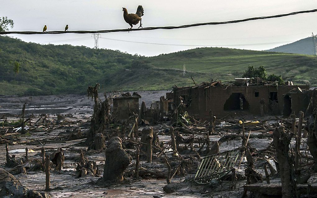 Beeld AFP