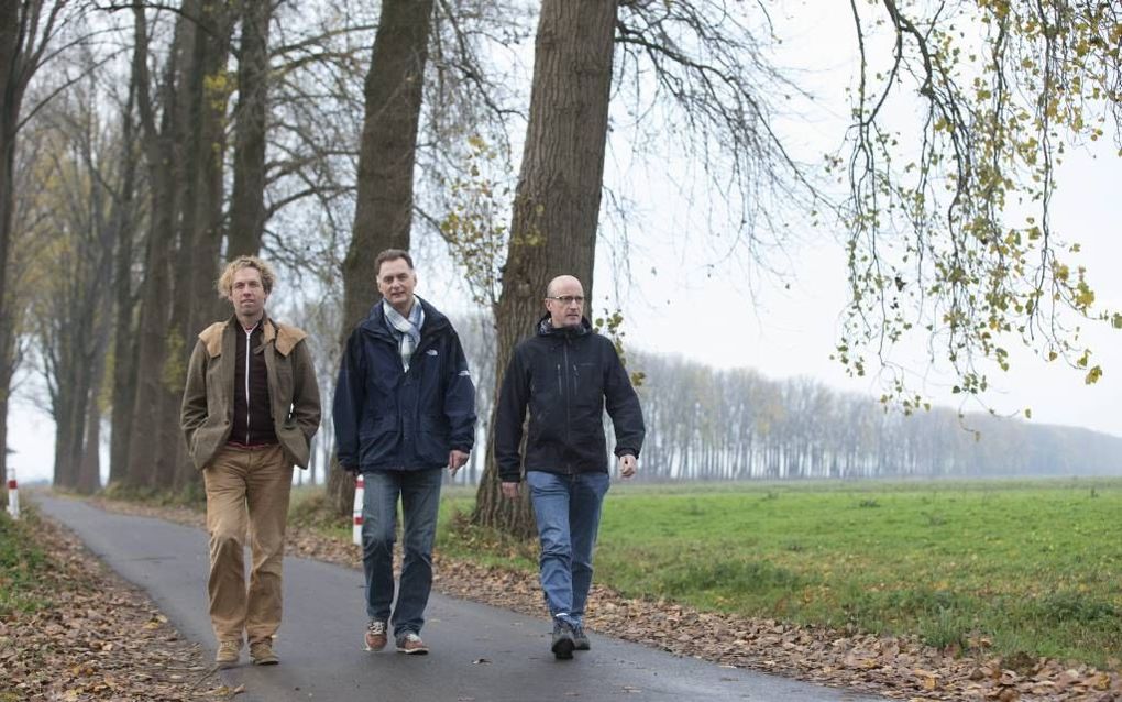 De auteurs van een boek over de populierenlaan in het Wageningse natuurgebied Binnenveld, Wim Huijser (m.) en Henk Meeuwsen (r.) wandelen samen met kunstenaar Robbert Kamphuis (l.) onder de peppels. Alle bomen worden binnenkort gekapt. Foto Herman Stöver