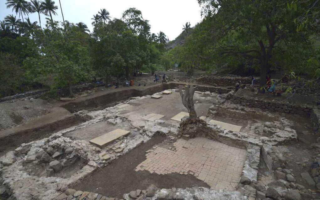 Beeld Cambridge Archaeological Unit