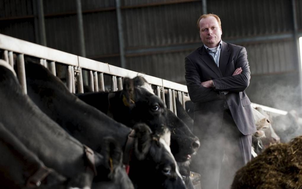 Kees Romijn, voorzitter van de LTO-vakgroep melkveehouderij. beeld LTO Nederland