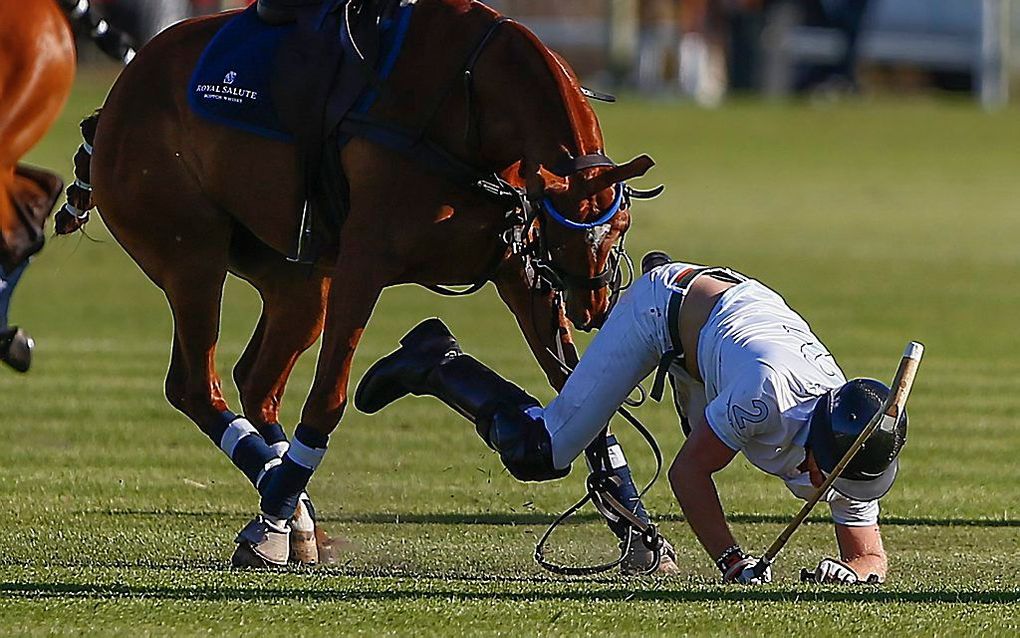 De Britse prins Harry valt van zijn paard. beeld EPA