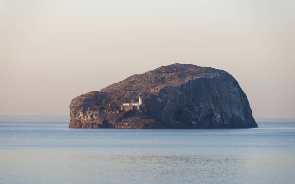 Bass Rock. beeld iStock