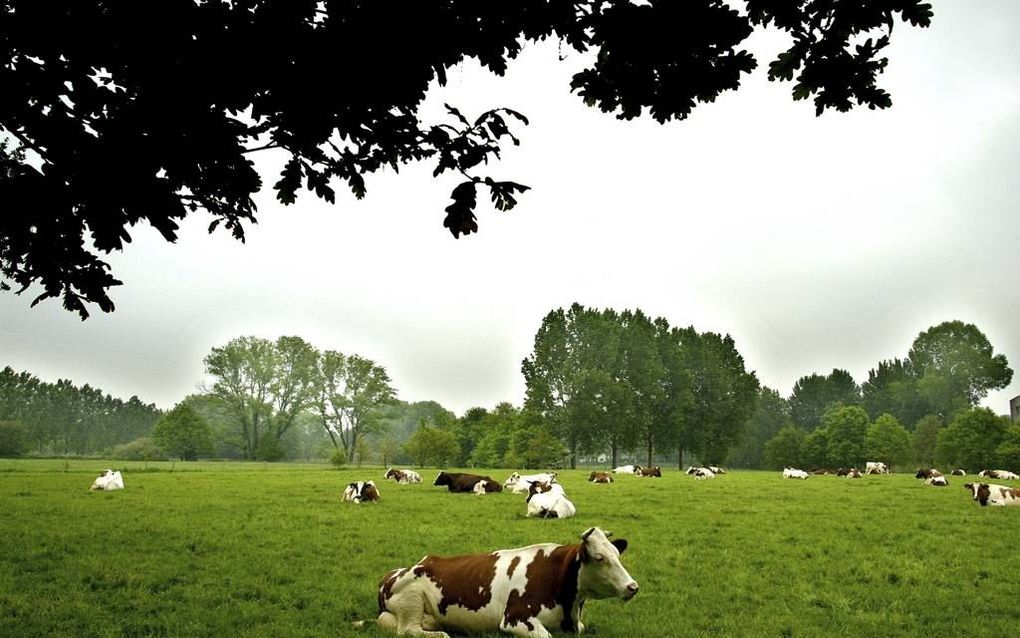 beeld RD, Henk Visscher