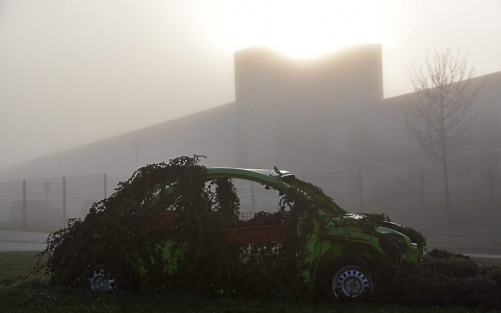 Een overwoekerde VW Beetle. beeld EPA