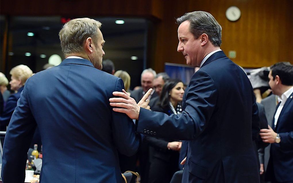 EU-president Donald Tusk en de Britse premier David Cameron. beeld AFP