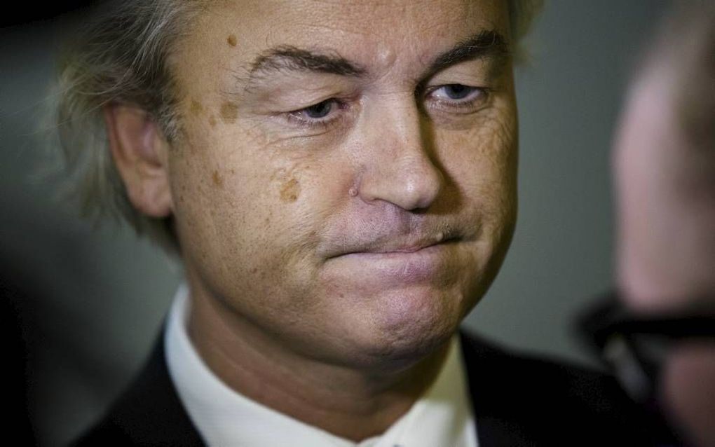 Wilders. beeld ANP